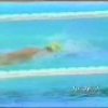 1994 | Kieren Perkins | World Champion | 14:50.52 | 1500m Freestyle | 1994 World Championships