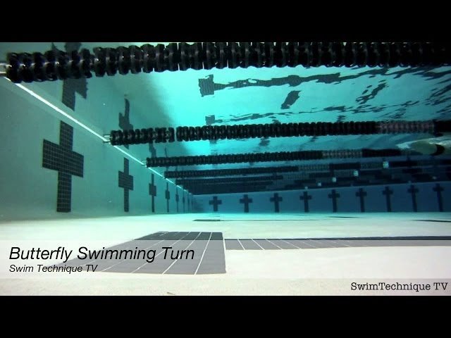 Butterfly Swimming Turn