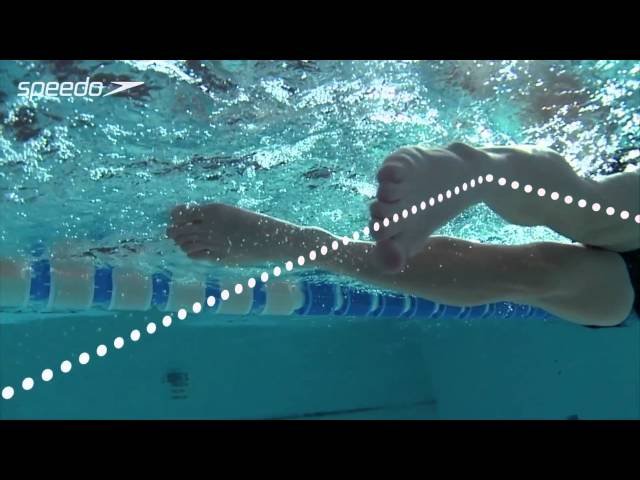 Freestyle Swim Stroke! (Tutorial) - Presented by ProTriathlon