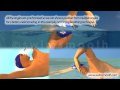 Animated Freestyle Swimming Visualisation - Mr Smooth