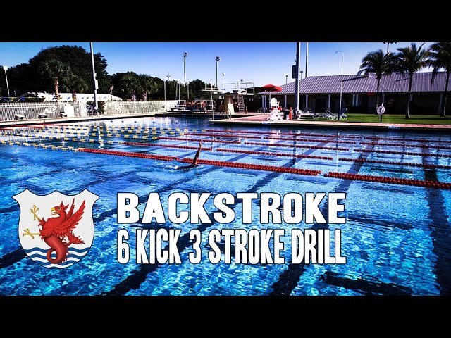 Backstroke Swim Technique