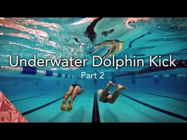 2 Skills to improve your underwater dolphin kick. Swim faster underwater