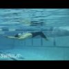 Backstroke - Underwater Dolphin - Size