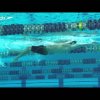 Ryan Lochte | Backstroke Kick - Swim Technique