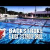 Backstroke Swim Technique