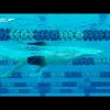Backstroke Swimming Technique – Kick | Feat. Ryan Lochte
